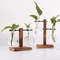 n0XbHydroponic-Plant-Terrarium-Vasevase-Decoration-Home-Glass-Bottle-Hydroponic-Desktop-Decoration-Office-Green-Plant-Small-Potted.jpg