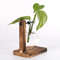 UnI6Hydroponic-Plant-Terrarium-Vasevase-Decoration-Home-Glass-Bottle-Hydroponic-Desktop-Decoration-Office-Green-Plant-Small-Potted.jpg