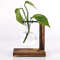 ZDepHydroponic-Plant-Terrarium-Vasevase-Decoration-Home-Glass-Bottle-Hydroponic-Desktop-Decoration-Office-Green-Plant-Small-Potted.jpg