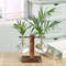 iEY0Hydroponic-Plant-Terrarium-Vasevase-Decoration-Home-Glass-Bottle-Hydroponic-Desktop-Decoration-Office-Green-Plant-Small-Potted.jpg