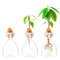 Hyu5Avocado-Seed-Starter-Vase-Transparent-Glass-Vase-Vase-for-Growing-Plant-Glass-Seed-Growing-Kit-for.jpg