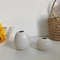 ZqHmIns-Ceramics-Flower-Vase-Nordic-Hydroponics-Vases-Creative-Room-Decor-Mini-Flower-Plant-Bottle-Pots-Desktop.jpg