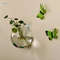 ti88Glass-Vase-Wall-Hanging-Hydroponic-Terrarium-Fish-Tanks-Potted-Plant-Flower-pot.jpg