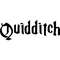 13.Quidditch.jpg