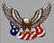 Eagle us flag (2).jpg