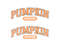 pumpkin season varsity svg, pumpkin season varsity png, tis the season pumpkin svg, pumpkin spice season pes, pumpkin varsity svg.jpg