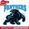 Carolina Panthers svg, Panthers svg, Nfl svg, png, dxf, eps digital file NFL30102037L.jpg