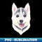 VF-48873_Siberian Husky Puppy 3253.jpg