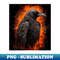 UQ-65620_Raven poe 9522.jpg