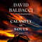 A Calamity of Souls by David Baldacci - Gripping Courtroom Drama Set in 1968 Virginia.jpg
