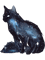 Galaxy Cat.png