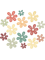 autumn flowers.png