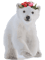 Polar Bear Vector .png