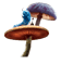 Mushroom (3).png