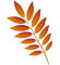 Leaves (2).png