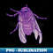 Moth - Purple - PNG Transparent Sublimation Design