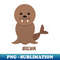 HY-25207_SILVA - The Cute Sea Lion  Funny Seal 8695.jpg