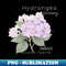 CO-18193_Hydrangea Harmony Embrace Natures Palette 9008.jpg