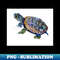MC-63283_River Turtle Slider Turtle artwork 2347.jpg