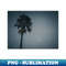 UC-10891_California Palm Tree Under the Moon Photo V4 3029.jpg