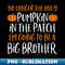 Big Brother Fall Pregnancy Announcement Halloween - Stylish Sublimation Digital Download