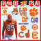 Clemson Tigers.jpg