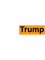 Fuck Trump - Anti-Trump Logo.png