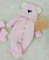 Pink Color Teddy Bear (1).jpg
