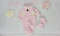 Pink Color Teddy Bear (9).jpg
