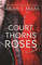 PDF-EPUB-A-Court-of-Thorns-and-Roses-A-Court-of-Thorns-and-Roses-1-Download.jpg