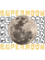 Supermoon August 2023.png