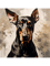 Natural Ear Doberman Classic(3).png