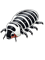 dairy cow isopod with red face.png