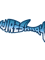 Wireshark .png