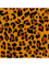 Beautiful decorations.Leopard Skin pattern  .png