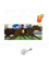 Horse Racing New York third Jewel design.png