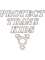 protect trans kids.png