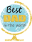 Best Dad in the World - globe fathers day gift .png