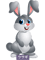 Usagi Cute Bunny Rabbit Design 22.png