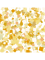 Yellow squares.png