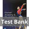 99-01 Human Anatomy & Physiology 11th edition Marieb Test Bank.jpg