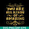 MTD03042102-You are all kinds of amazing svg, Mother's day svg, eps, png, dxf digital file MTD03042102.jpg
