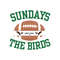 Sundays Are For The Birds Philadelphia Eagles Football Svg.jpg