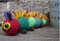 A Harry Caterpillar.jpg