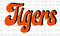 Retro Orange Black Tigers PNG, SVG, Digital File.jpg