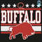 Buffalo Svg, Sport Svg, Buffalo Bills Football Team Svg, Buffalo Bills Svg, Buffalo B.jpg