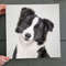 Dog Square Canvas - Border Collie - Colorful Canvas Print - Dog Canvas Print - Canvas With Dogs On It - Furlidays.jpg