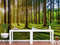 Wallpaper-Trees-Murals.jpg