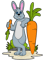 Rabbits Carrot.png