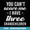 Three Grandchildren 3 Grandson Granddaughter Grandparents - Signature Sublimation PNG File